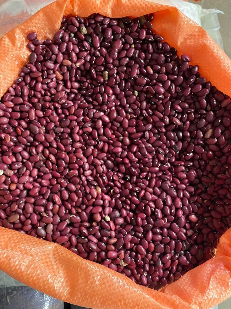خرید فروش لوبیا قرمز ایرانی خمین زنجان ۹۹ 